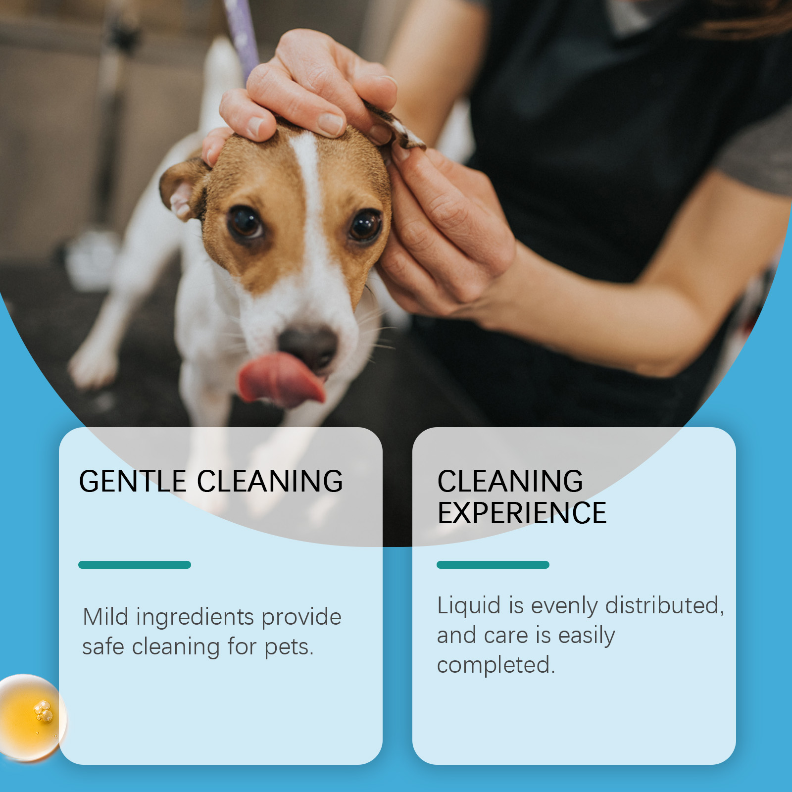 Pet Ear Cleaner For Dogs & Cat - đánh giá và giá Pet Ear Cleaner
