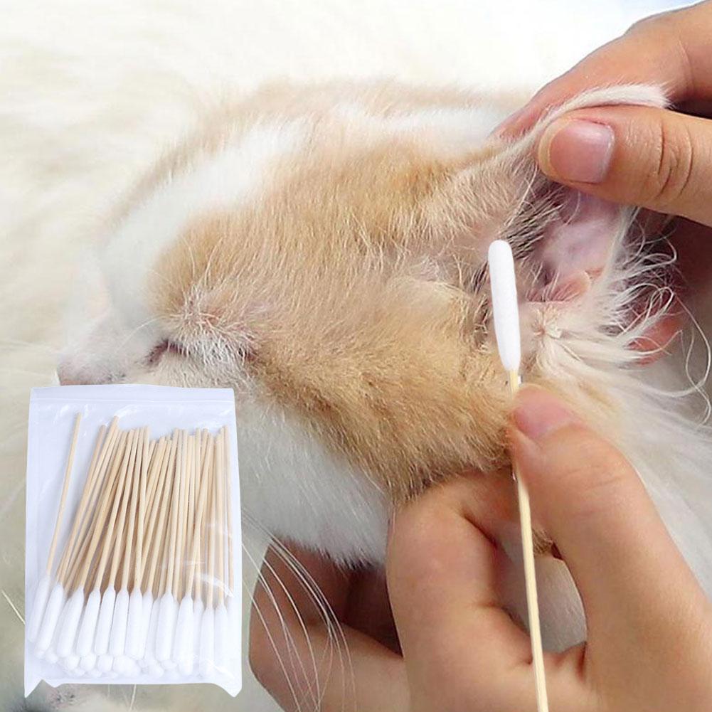 50/100 PCS Cotton Sticks Dog E - đánh giá và giá Pet Ear Cleaner