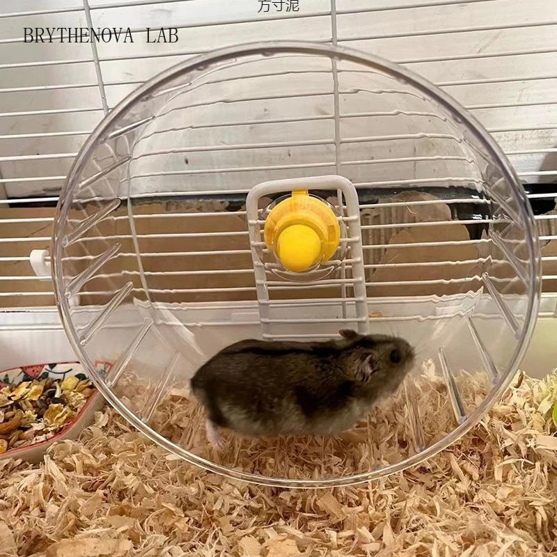 Hamster Running Wheel with Sta - đánh giá và giá Hamster Cage Wheel