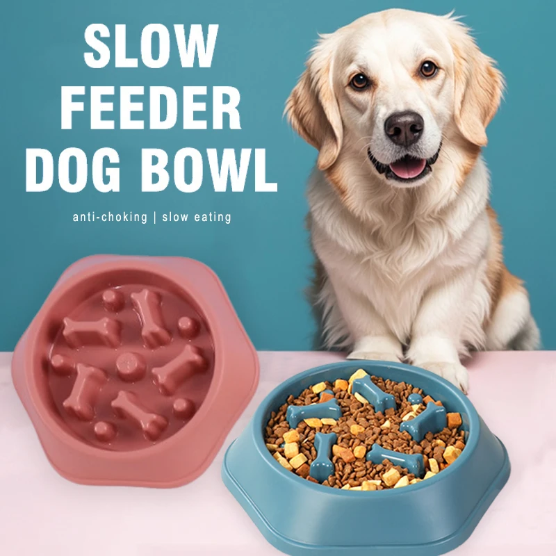 New Slow Feeder Dog Bowl Anti- - đánh giá và giá Royal Canin Food Medium