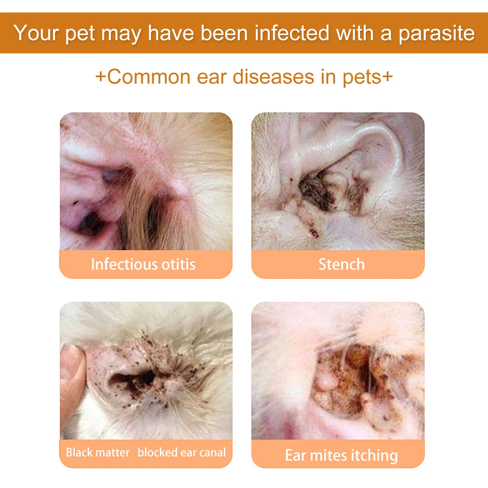 Pets Ear Cleaner Drops Prevent - đánh giá và giá Pet Ear Cleaner