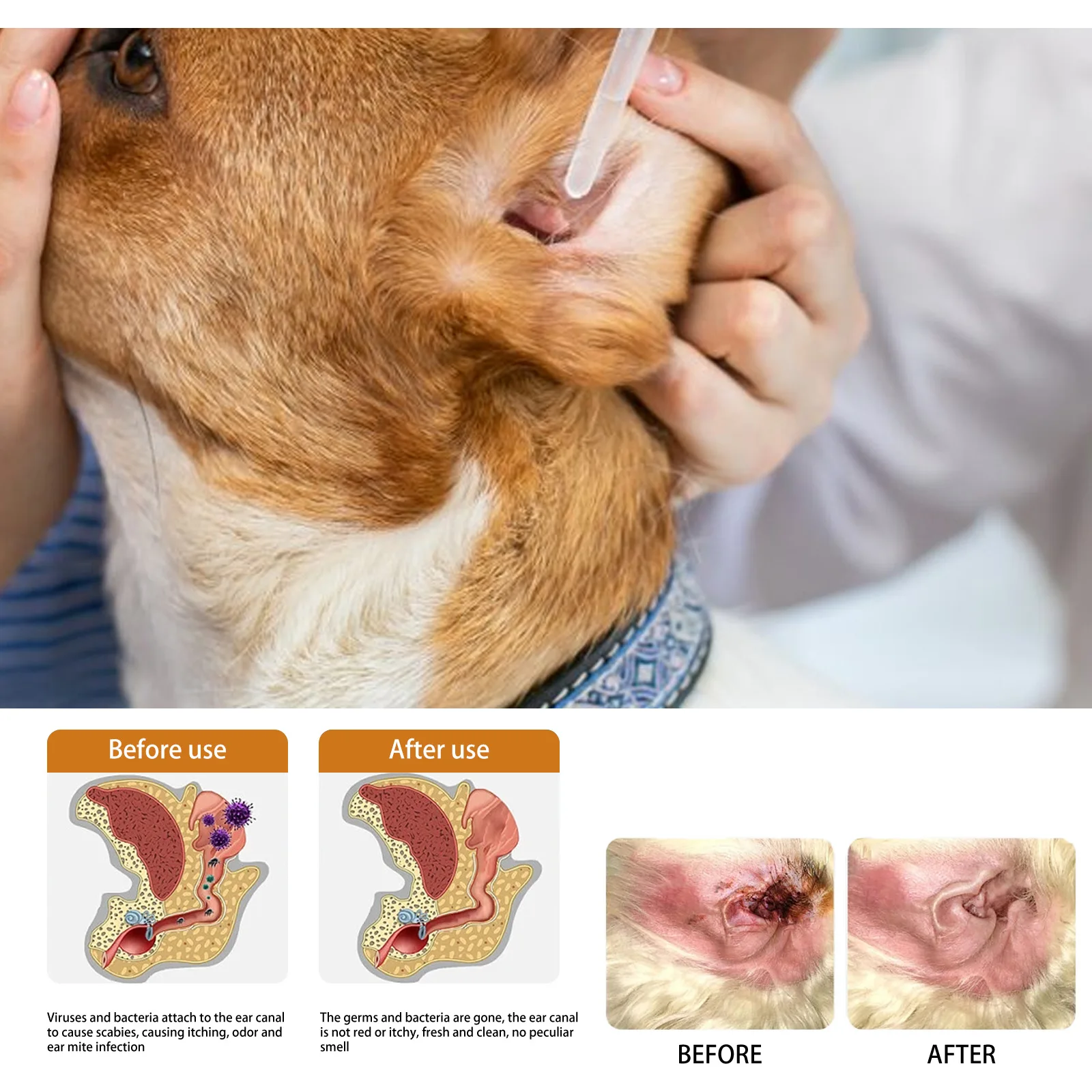 Pets Ear Cleaner Drops Prevent - đánh giá và giá Pet Ear Cleaner
