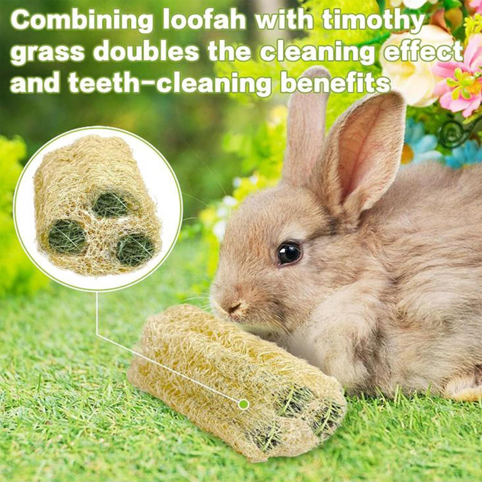 Chew Toys For Bunnies 4 Pieces - đánh giá và giá Pet Supplies Pet Shop