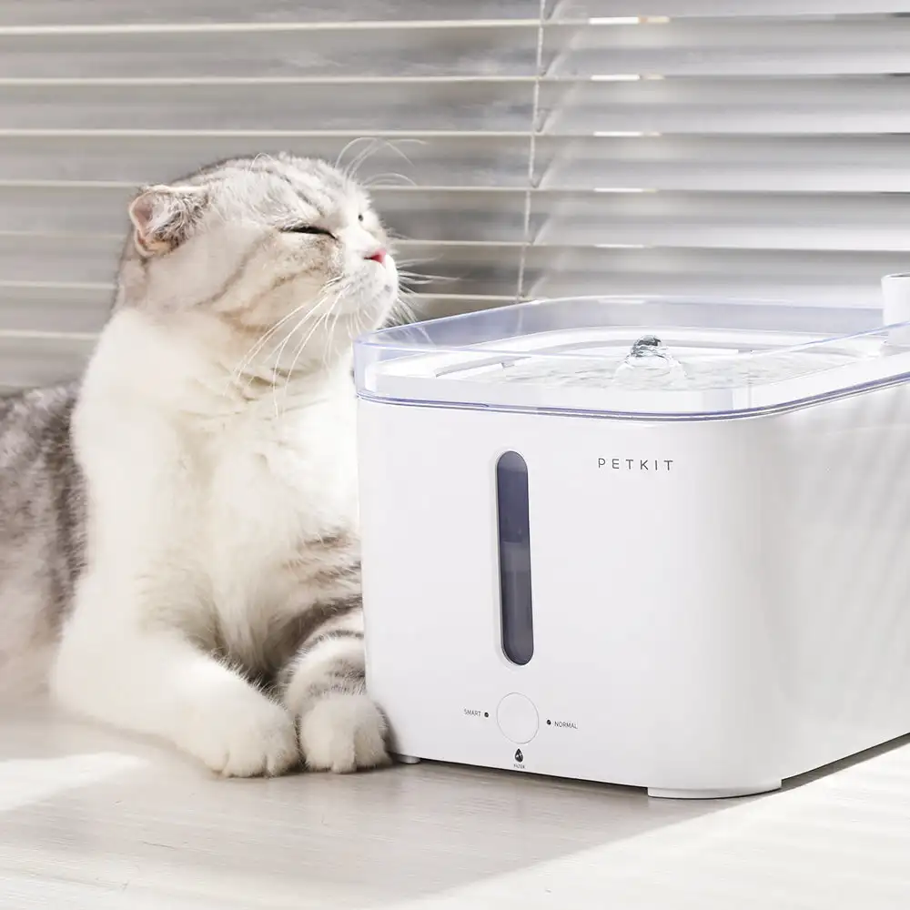 CANBOUN EVERSWEET Series Pet S - đánh giá và giá Automatic Pet Feeder