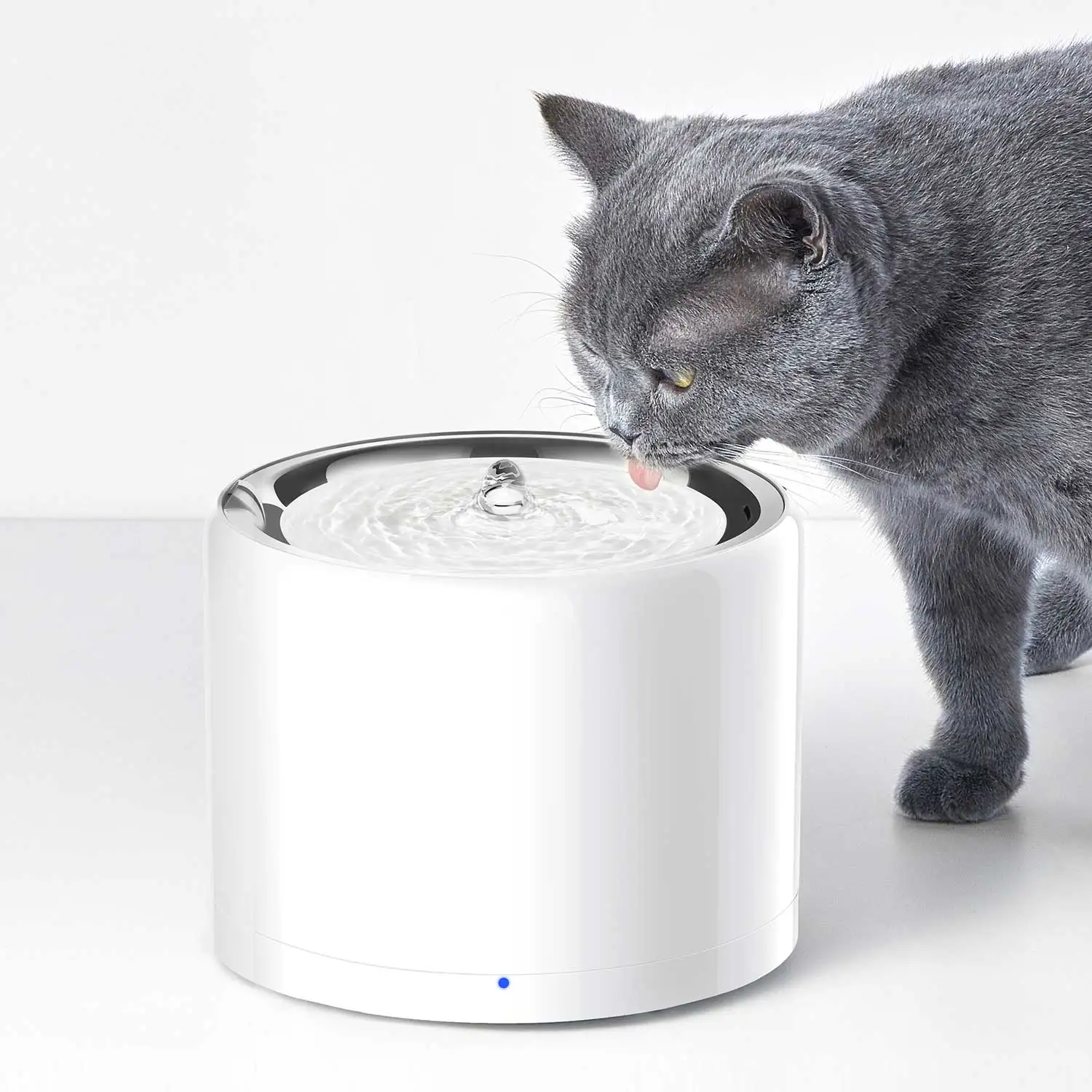 CANBOUN EVERSWEET Series Pet S - đánh giá và giá Automatic Pet Feeder