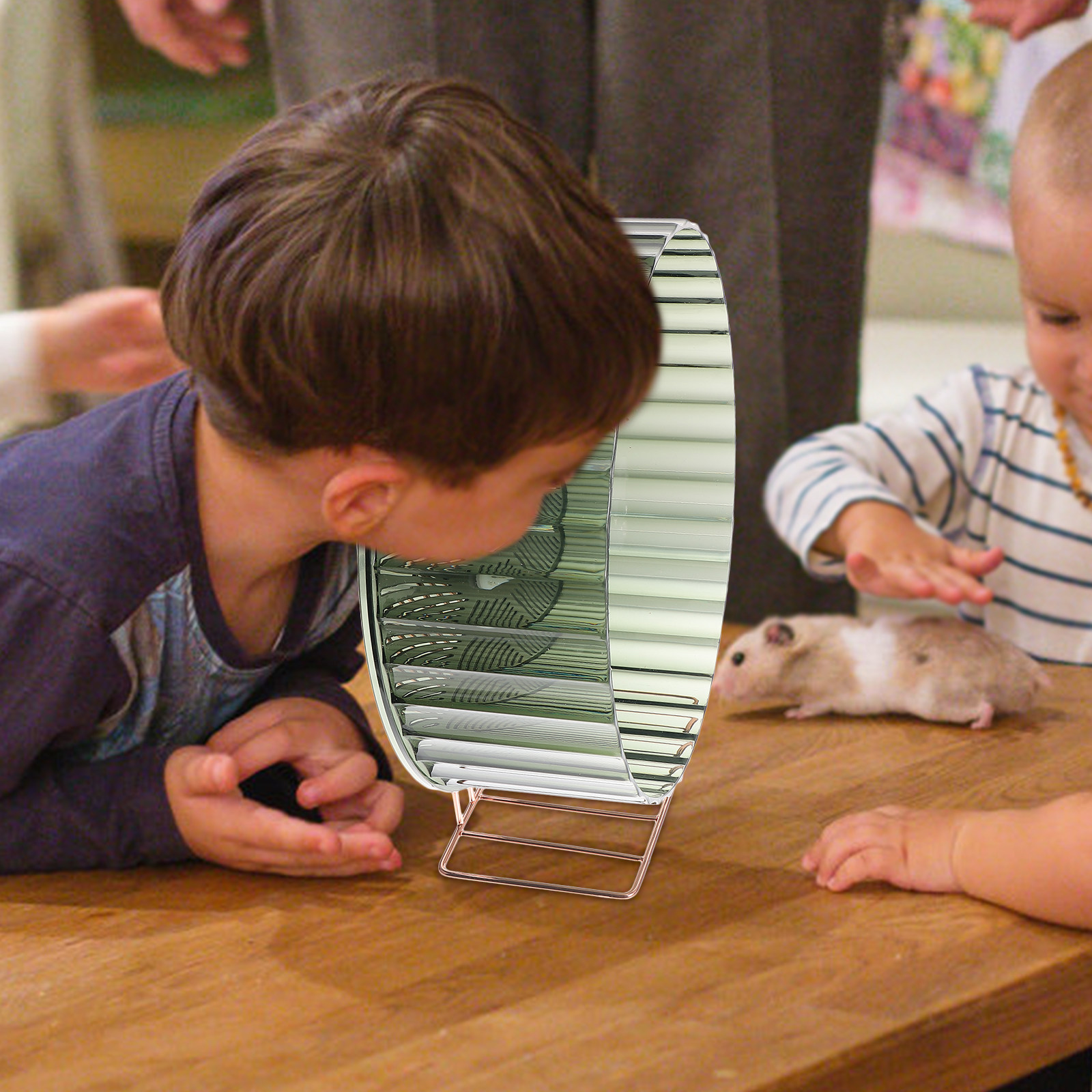 Healthy Growth Hamster Wheel E - đánh giá và giá Hamster Cage Wheel