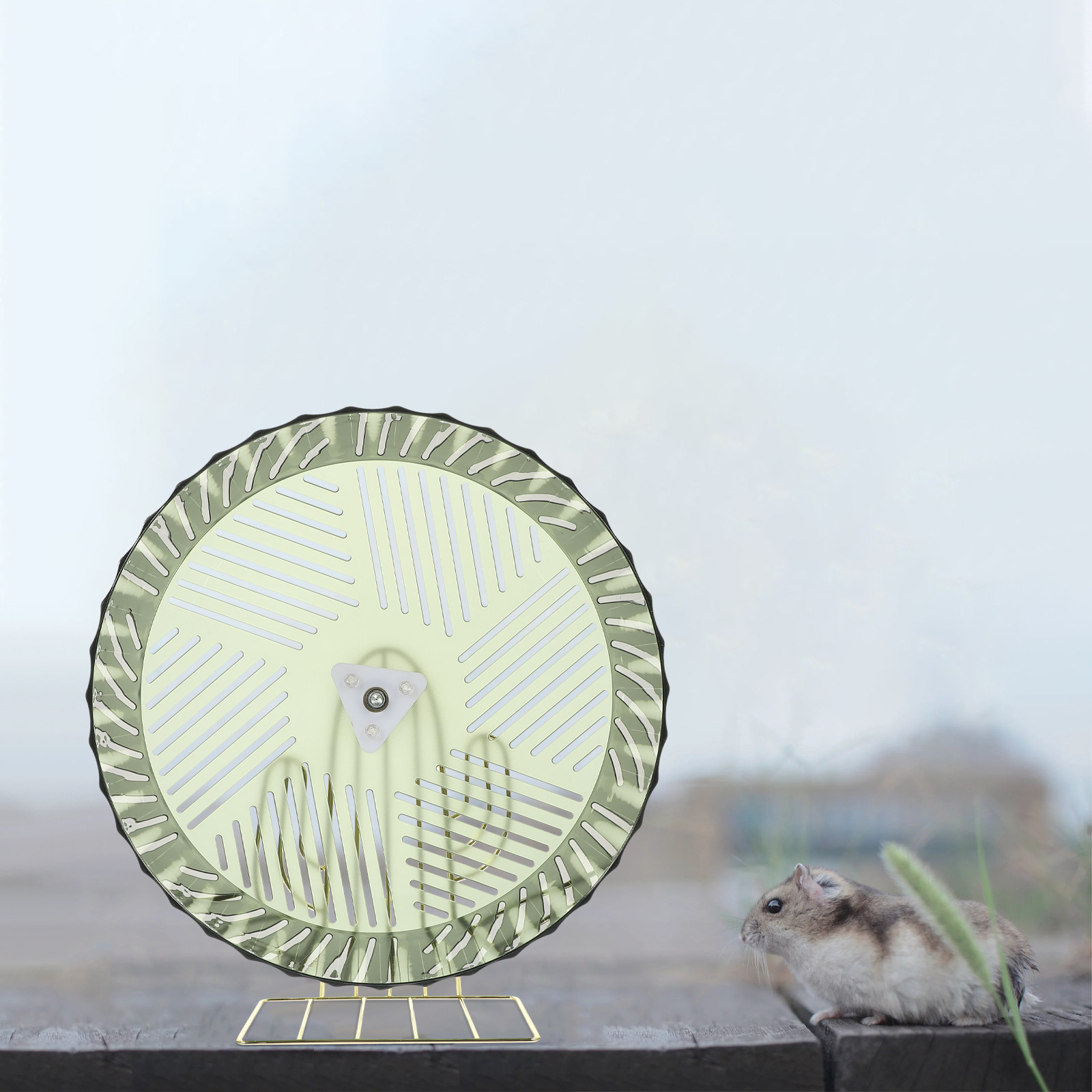 Healthy Growth Hamster Wheel E - đánh giá và giá Hamster Cage Wheel