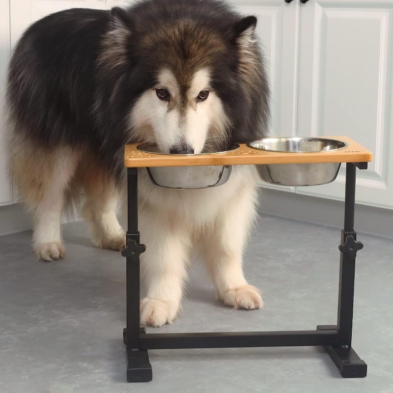 Wooden Raised Dog Bowl Adjusta - đánh giá và giá Pet Supplies Pet Shop