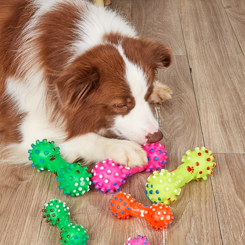 Dog Toys For Large Dogs 1 PC L - đánh giá và giá Pet Supplies Pet Shop