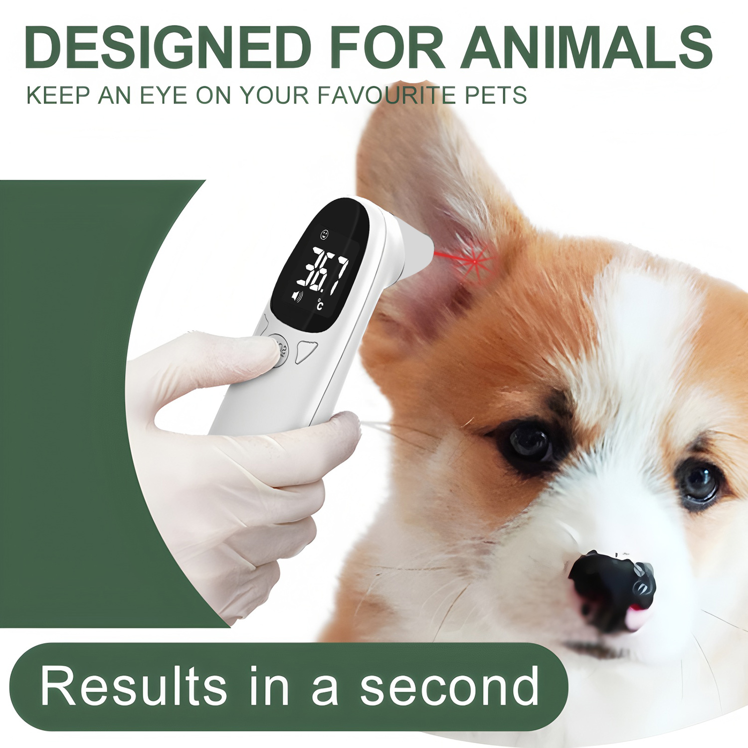 Pet Ear Digital Thermometer No - đánh giá và giá Pet Supplies Store