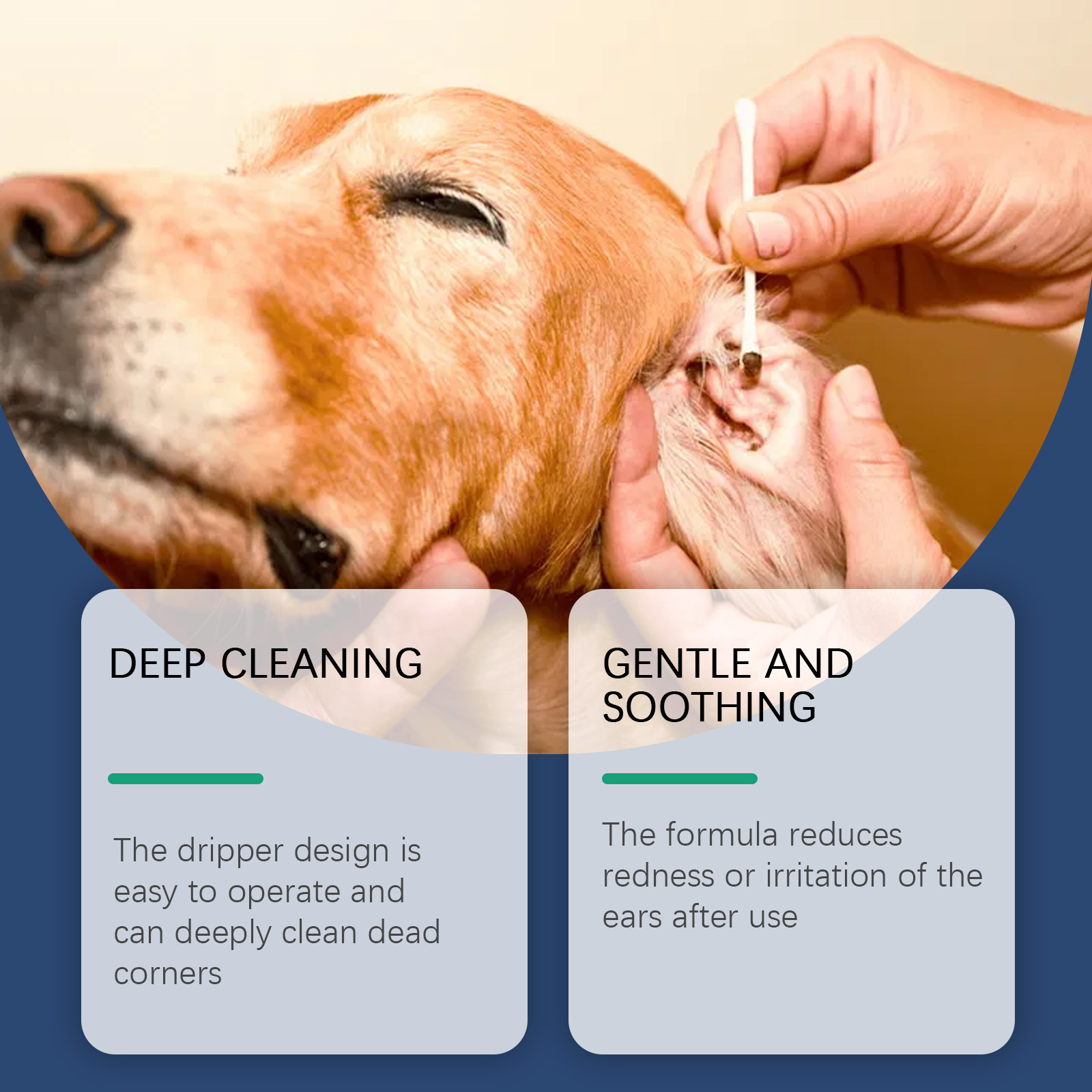 Pet Ear Cleaner Remove Ear Mit - đánh giá và giá Pet Ear Cleaner