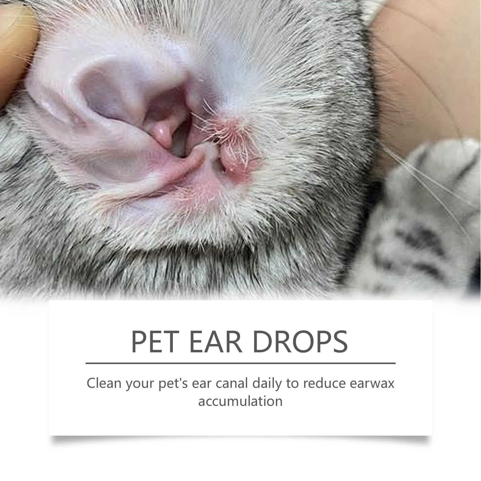 Pet Ear Cleaner Remove Ear Mit - đánh giá và giá Pet Ear Cleaner