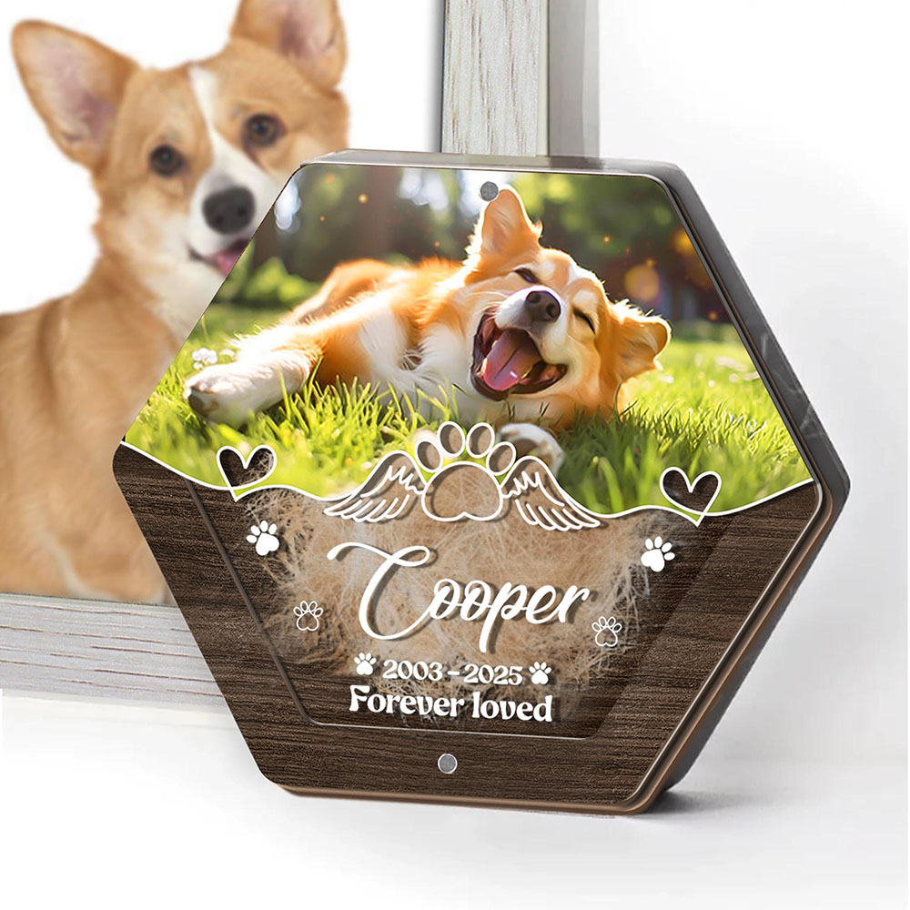 Personalized Name Wooden Carvi - đánh giá và giá Pet Supplies Store