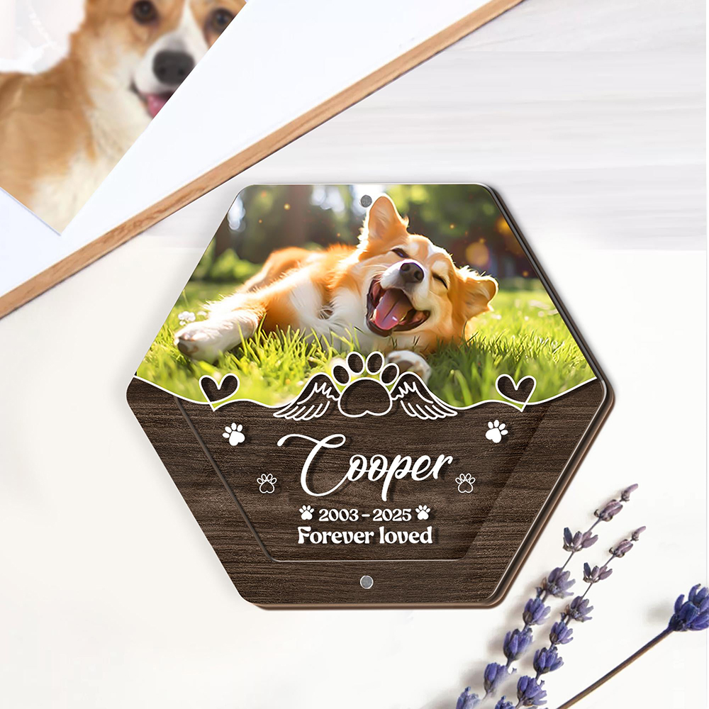 Personalized Name Wooden Carvi - đánh giá và giá Pet Supplies Store