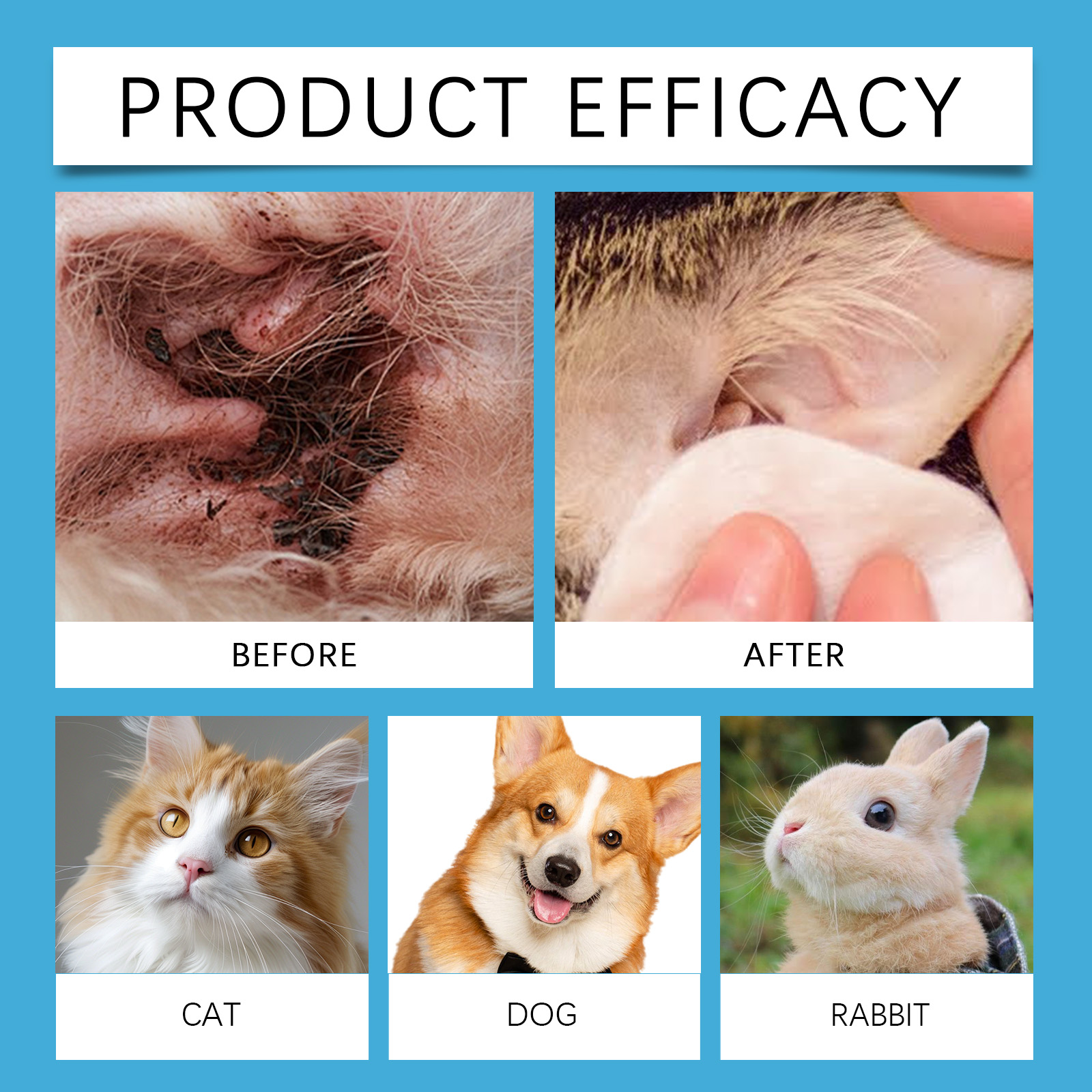 Pet Ear Cleaner Cat Dog Ear Cl - đánh giá và giá Pet Ear Cleaner