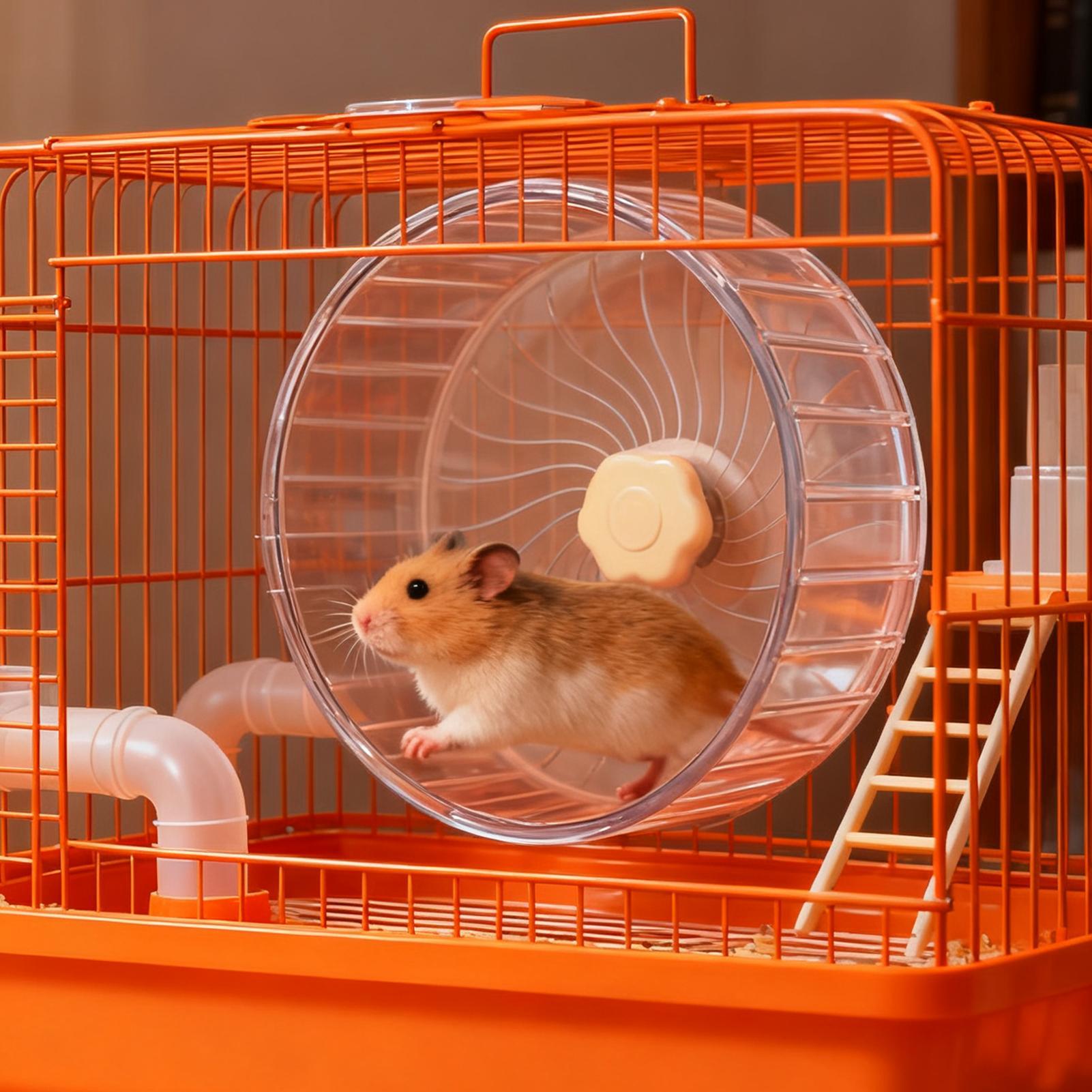 Silent Hamster Wheel Quiet Dou - đánh giá và giá Hamster Cage Wheel