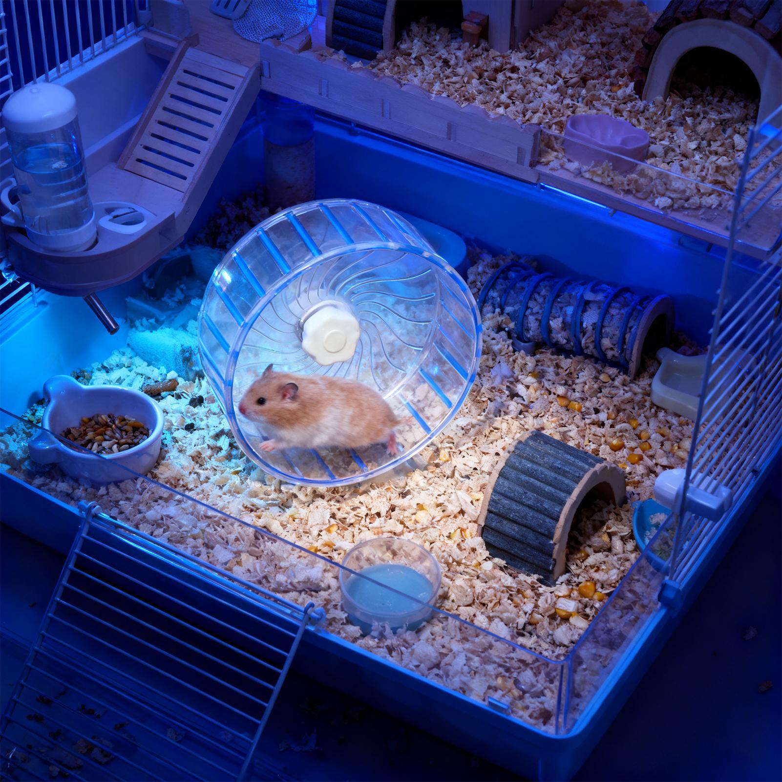 Silent Hamster Wheel Quiet Dou - đánh giá và giá Hamster Cage Wheel