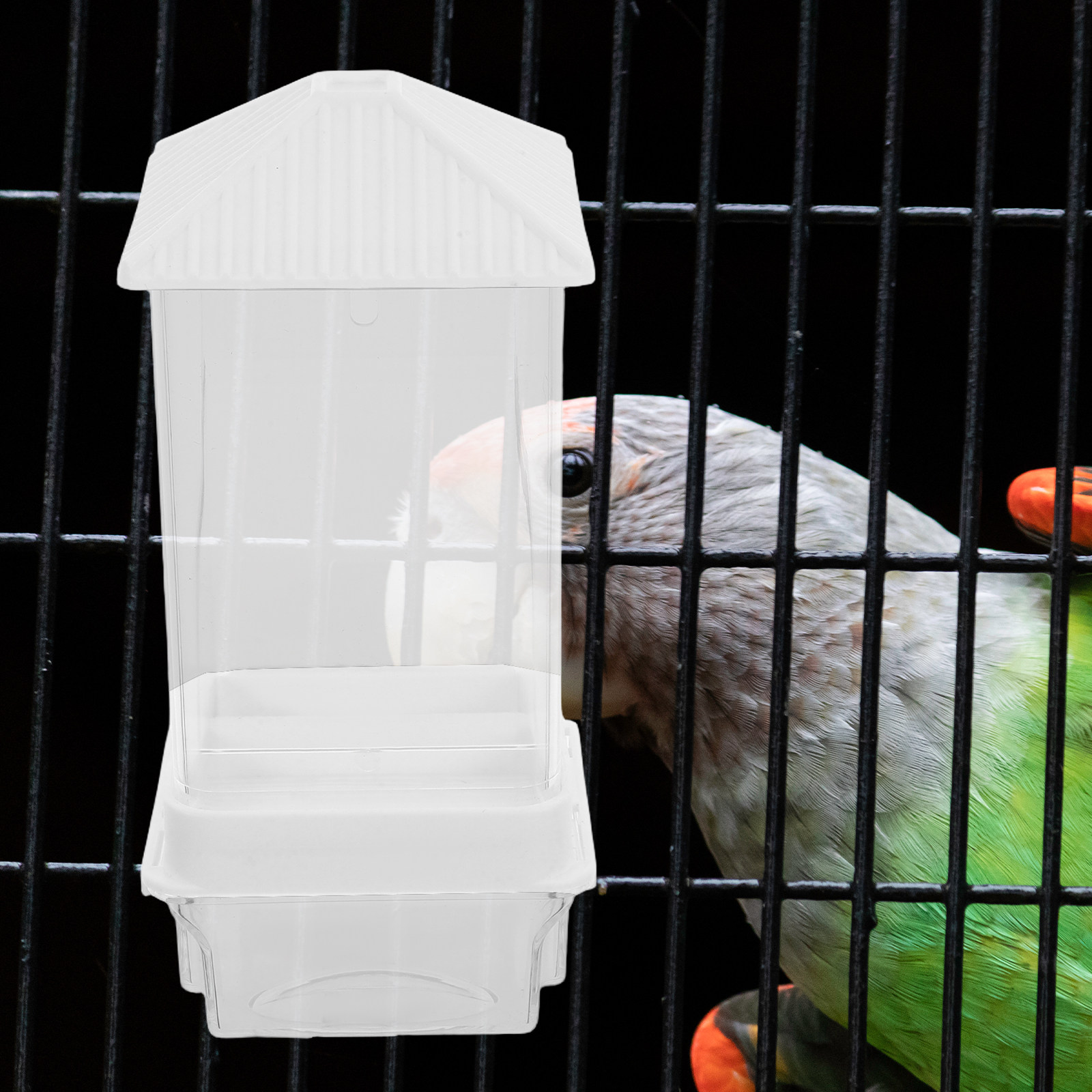 Automatic Bird Feeder Plastic  - đánh giá và giá Automatic Pet Feeder
