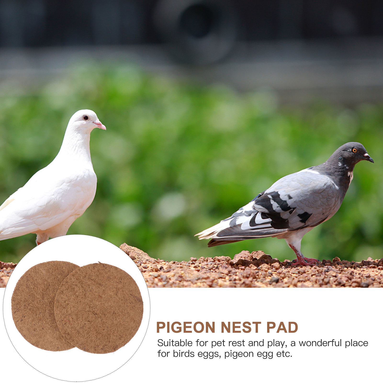 10Pcs Breeding Egg Mat Natural - đánh giá và giá Pet Supplies Pet Shop