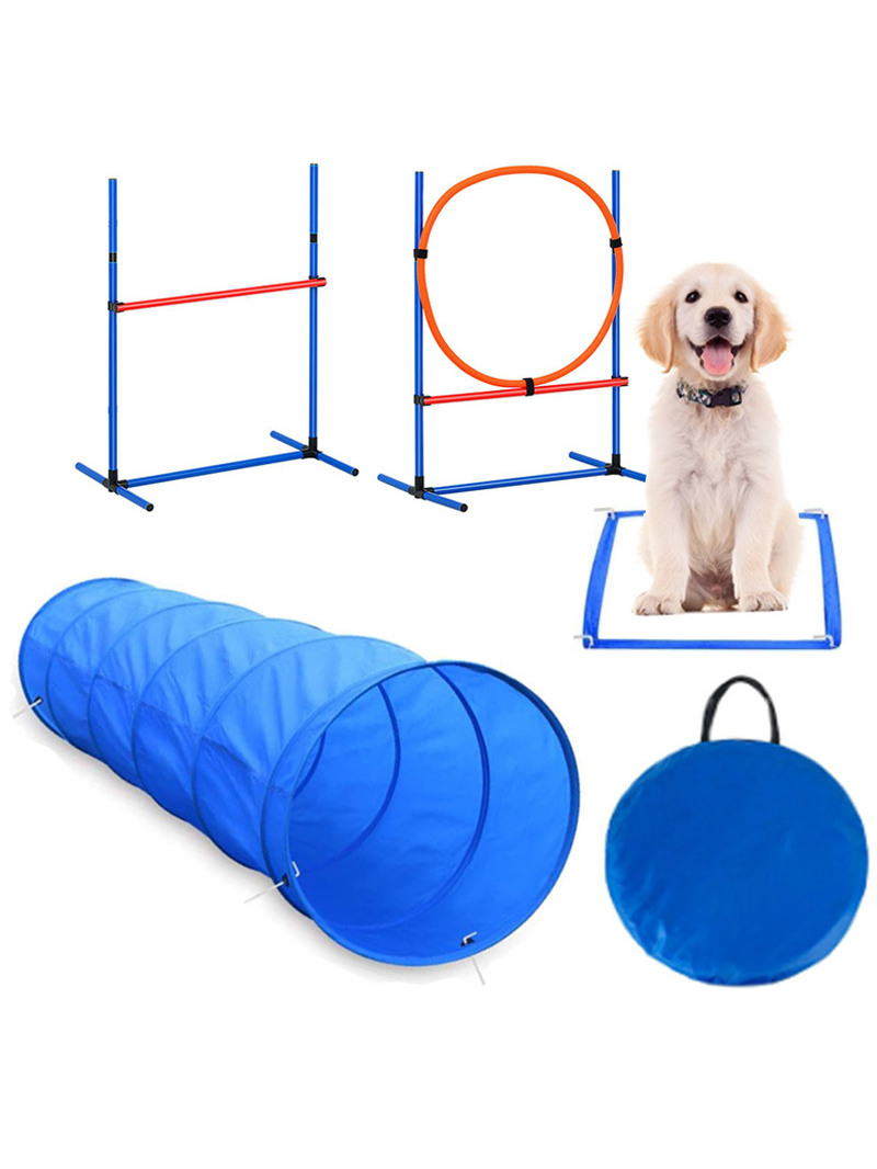 Dog Obstacle Training Competit - đánh giá và giá Pet Supplies In