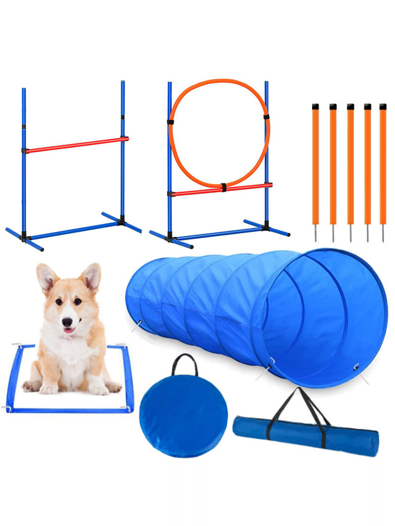 Dog Obstacle Training Competit - đánh giá và giá Pet Supplies In
