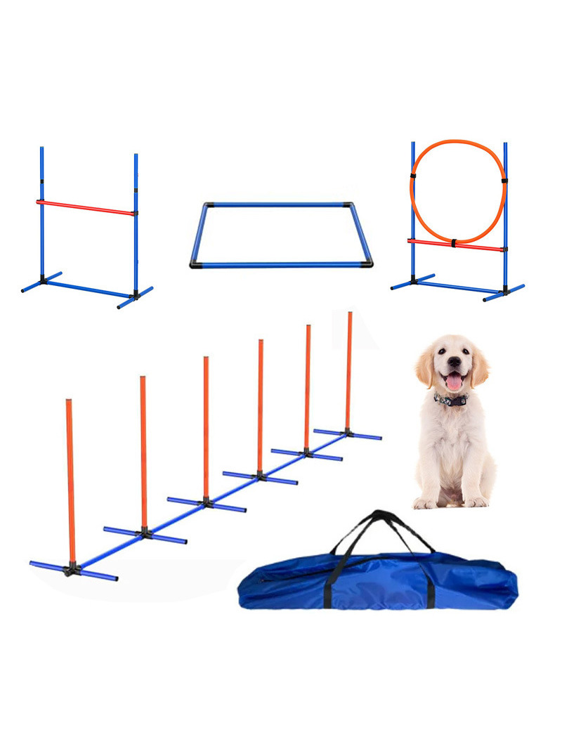Dog Obstacle Training Competit - đánh giá và giá Pet Supplies In