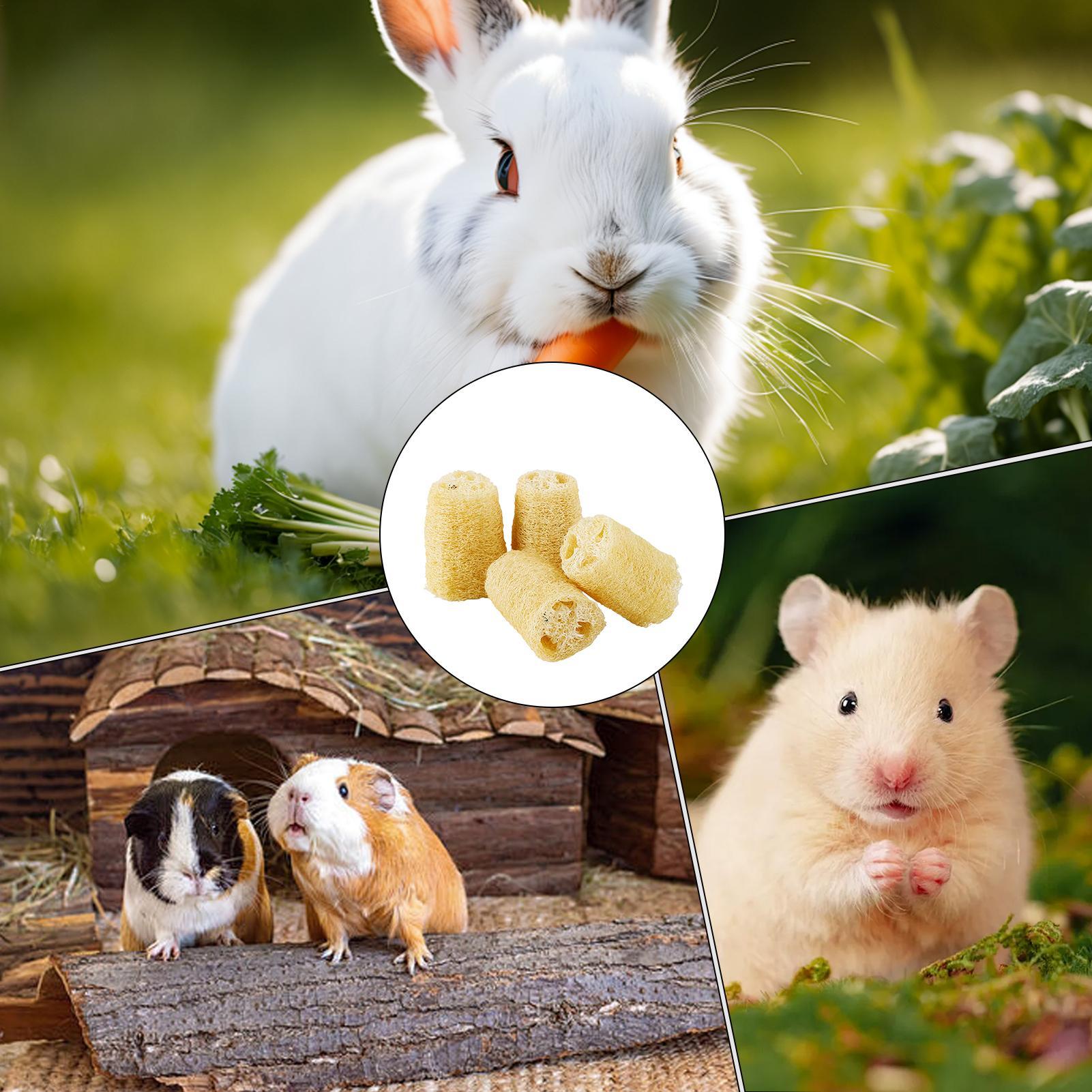 Chew Toys For Bunnies 4 Pieces - đánh giá và giá Pet Supplies Pet Shop