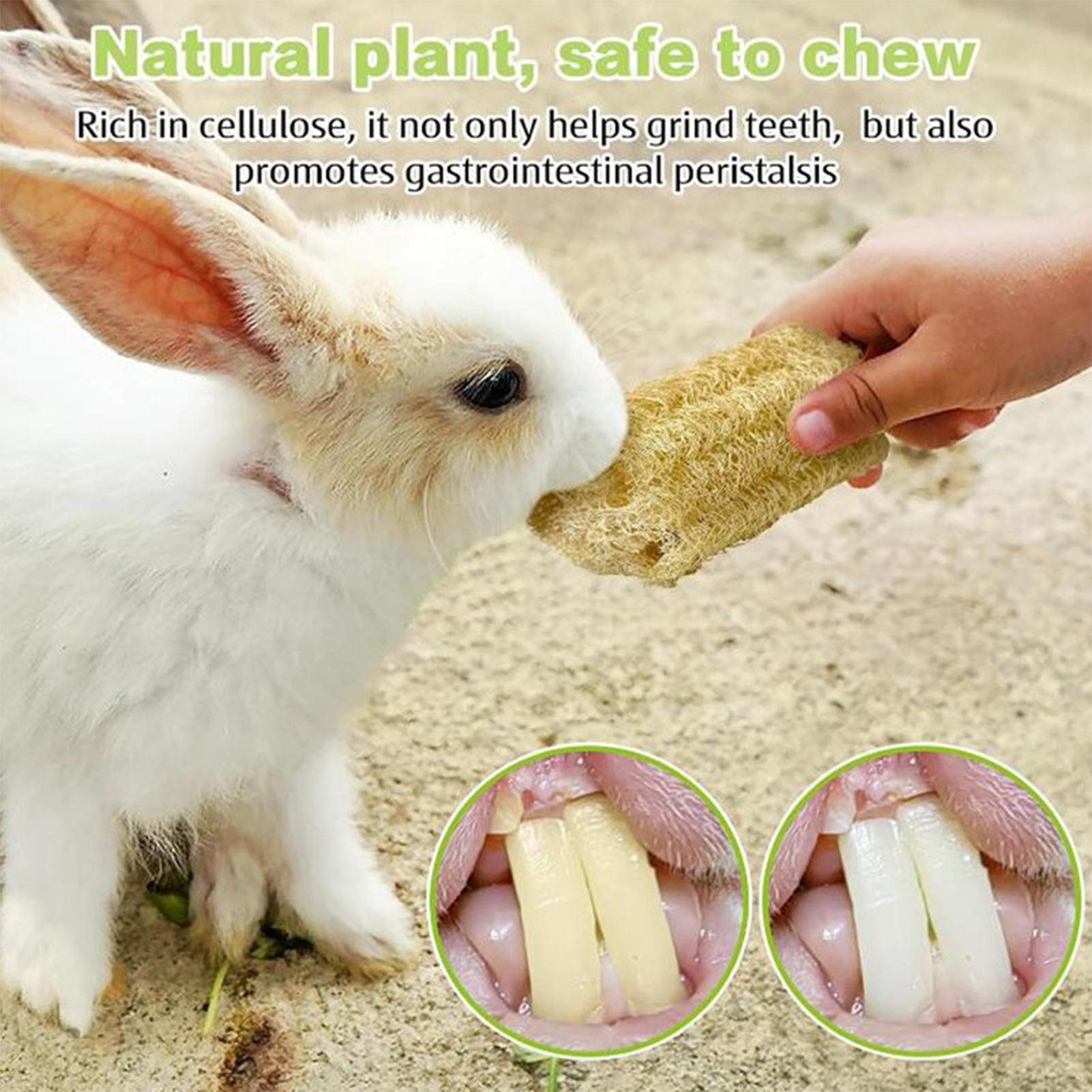 Chew Toys For Bunnies 4 Pieces - đánh giá và giá Pet Supplies Pet Shop