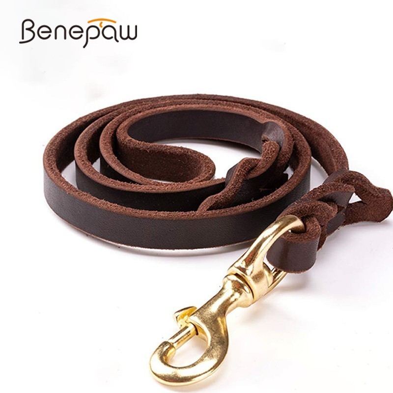 Benepaw Cao cấp Da Bò Dây Xích - đánh giá và giá Pet Supplies Pet Shop