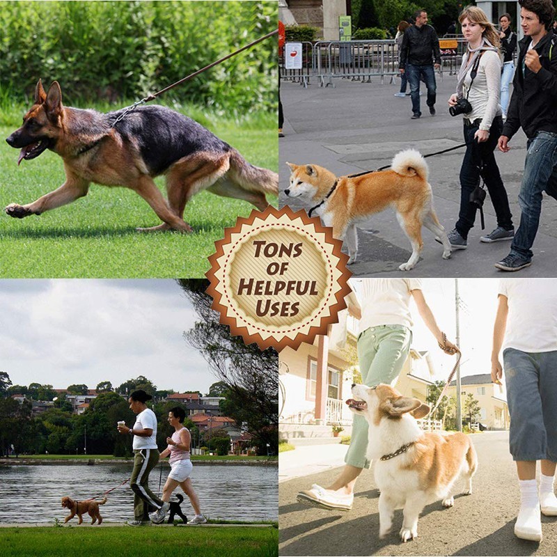 Benepaw Cao cấp Da Bò Dây Xích - đánh giá và giá Pet Supplies Pet Shop